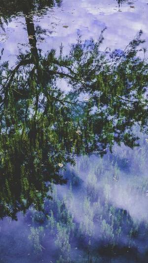 哈密瓜可以和牛奶一起吃吗截图1